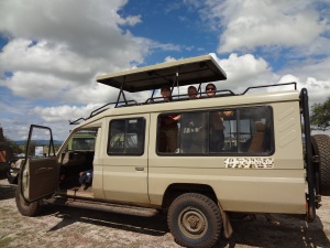 Our Serengeti jeep